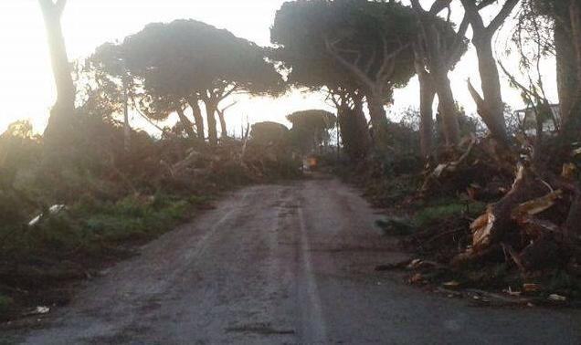 Maltempo, Tromba D'aria Colpisce Latina E Sabaudia. Danni Anche Nel Sud ...